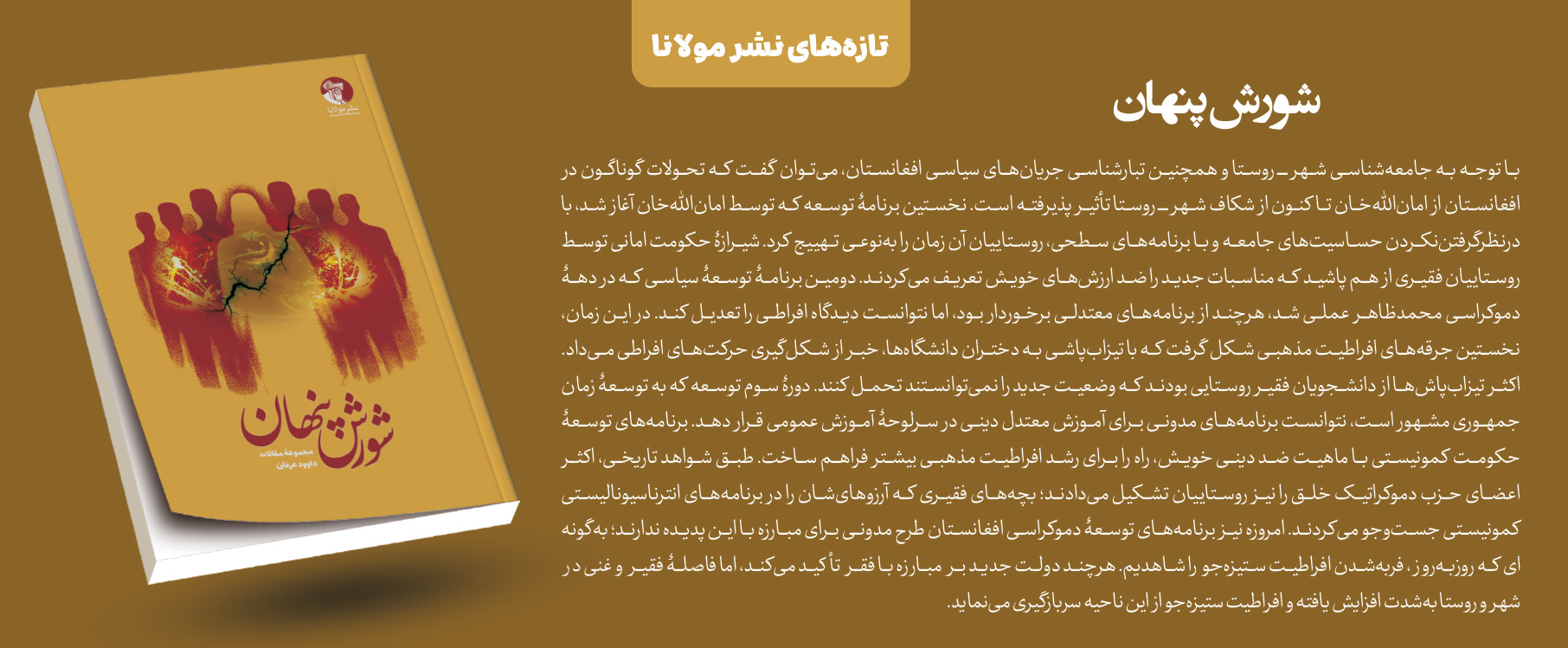 شورش پنهان | مجموعهٔ مقالات