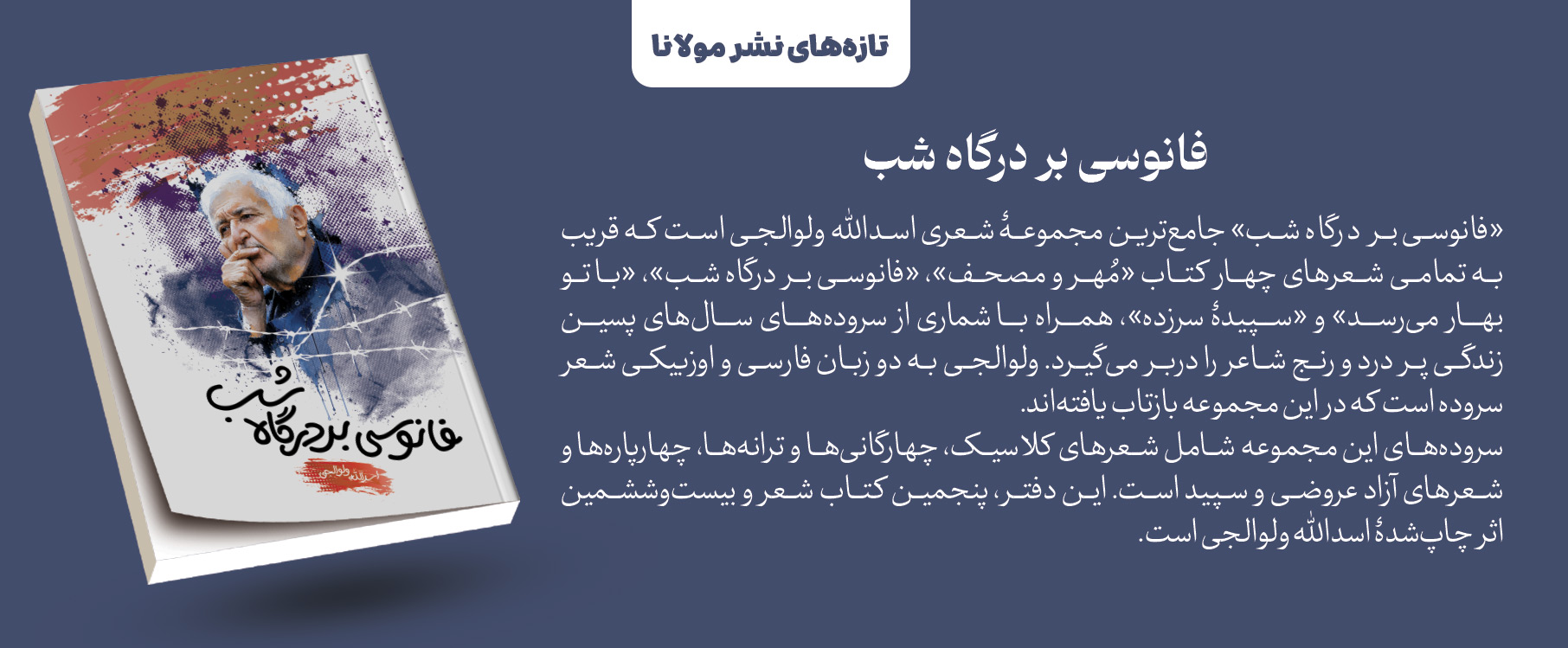 فانوسی بر درگاه شب